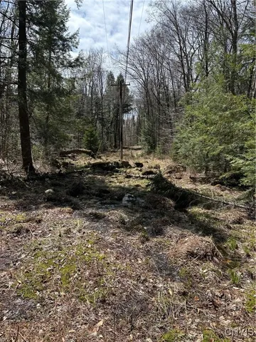 $299,000 | East Shore Road, Stratford, NY 13470