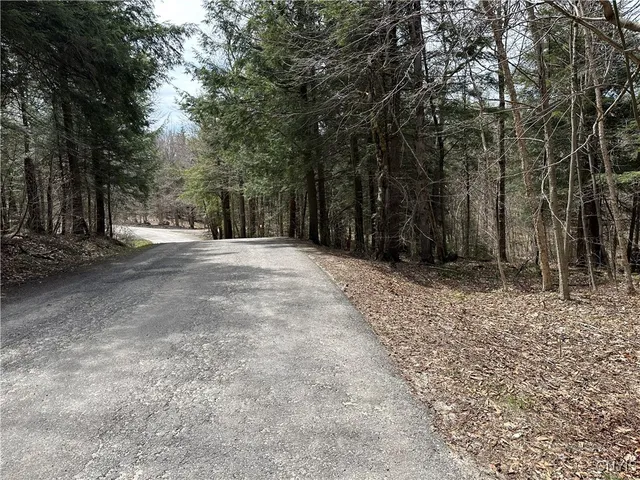 $299,000 | East Shore Road, Stratford, NY 13470