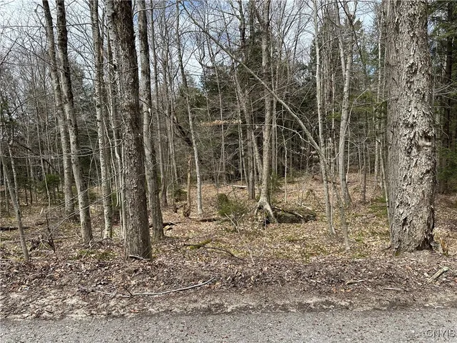 $299,000 | East Shore Road, Stratford, NY 13470