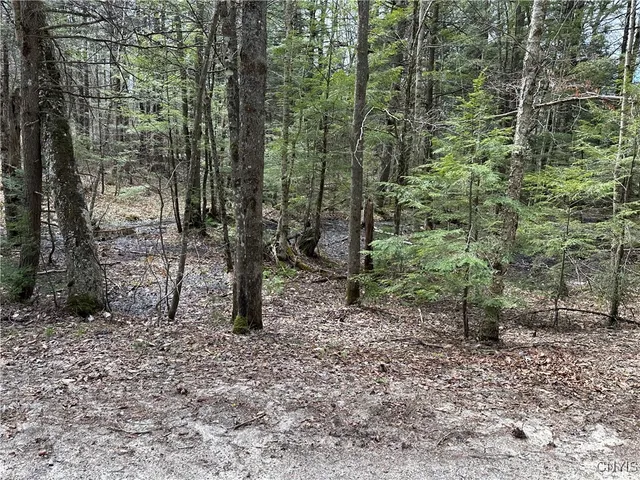 $299,000 | East Shore Road, Stratford, NY 13470