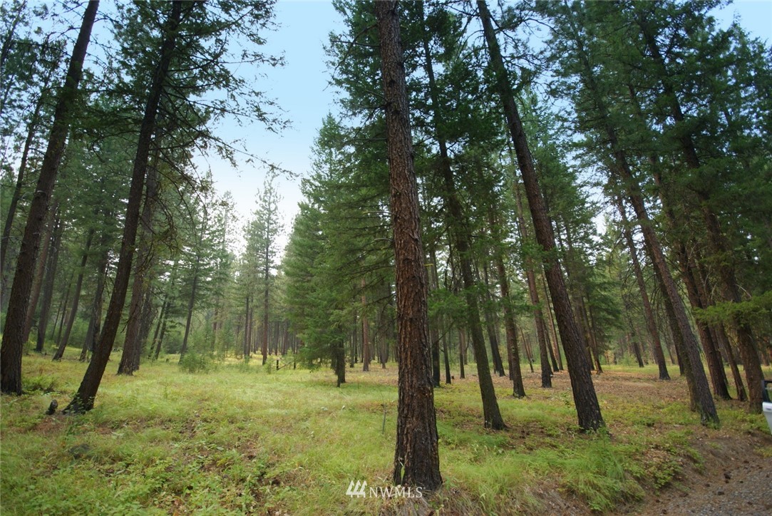 41 Sky Ranch Road Twisp, WA 98856 - Photo 22 of 25 Gallery Image 22