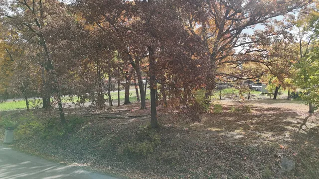 a view of tree next to a yard