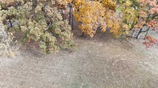 a view of a yard with a tree