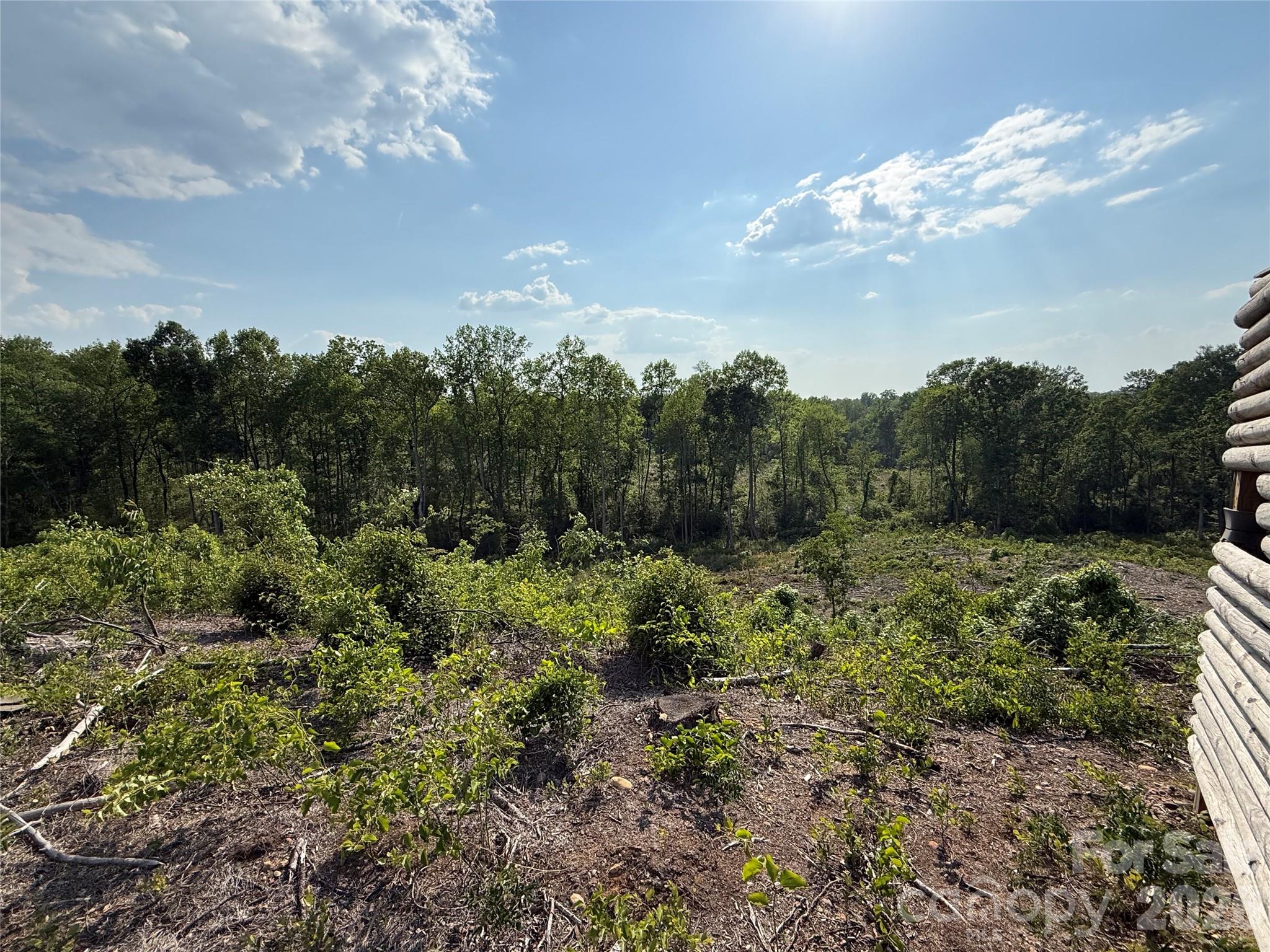 1 Old Cheraw Highway Rockingham, NC 28379 - Photo 30 of 30 Gallery Image 30