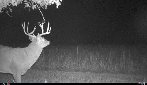 $518,000 | 0 Northeast 63rd Avenue, Trenton, MO 64683