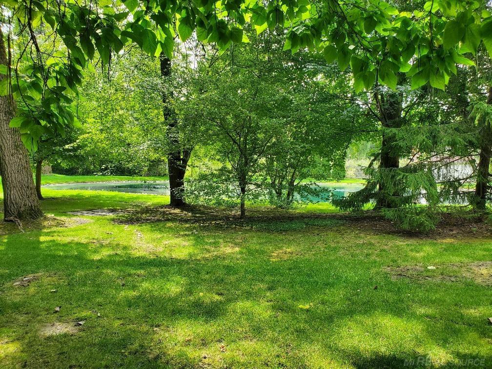 48164 Sugarbush Road Chesterfield, MI 48047 - Photo 14 of 59