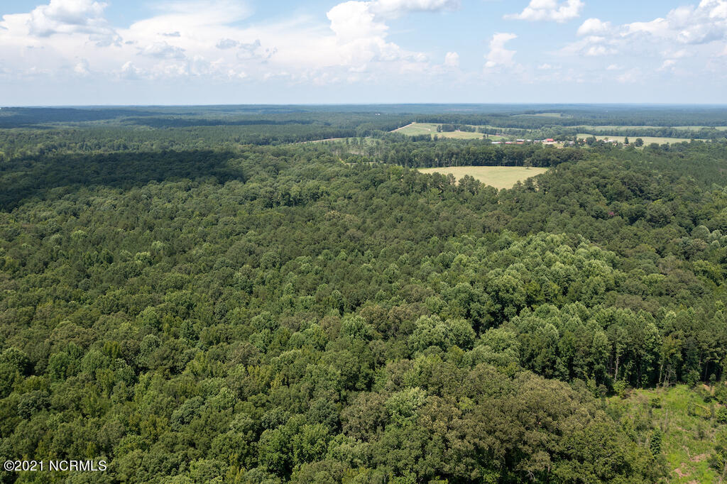 0 Mt Carmel Road Carthage, NC 28327 - Photo 11 of 46 11
