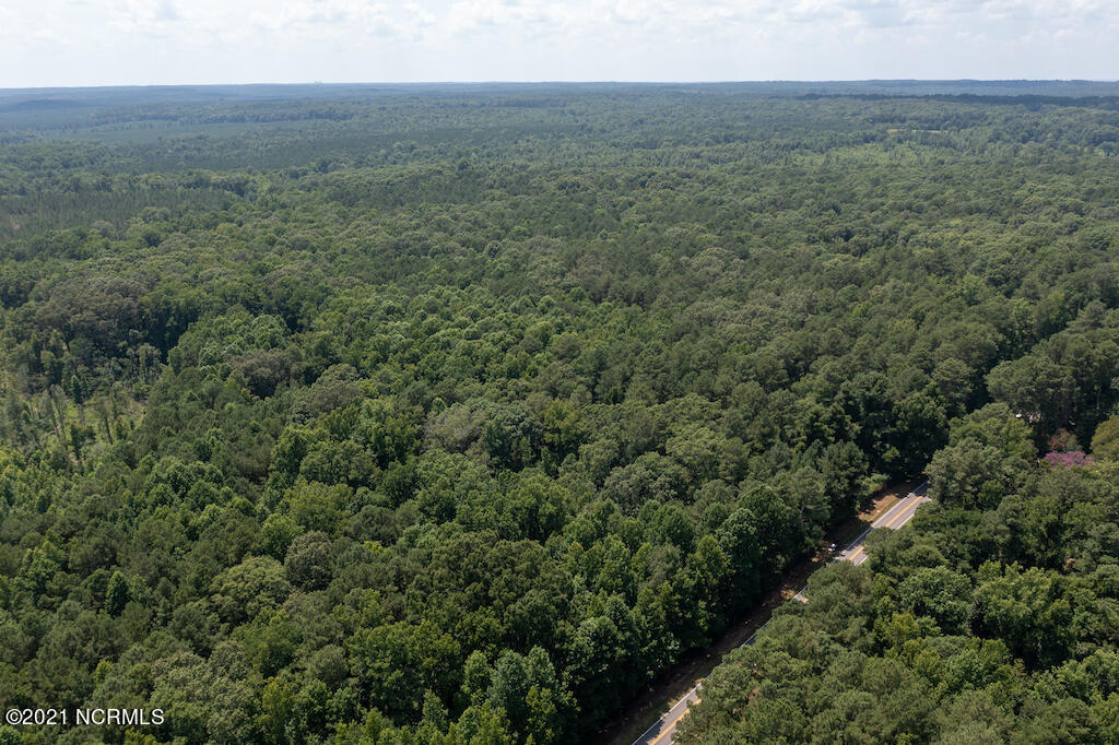 0 Mt Carmel Road Carthage, NC 28327 - Photo 13 of 46 13