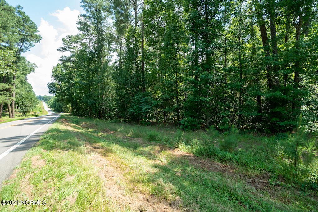 0 Mt Carmel Road Carthage, NC 28327 - Photo 20 of 46 20