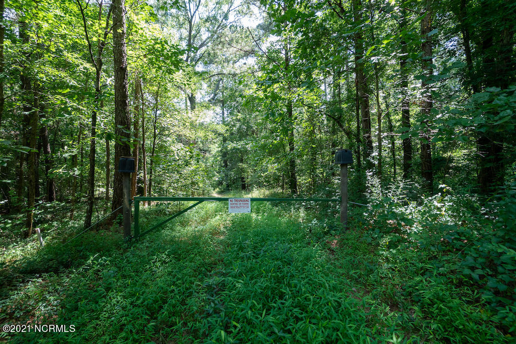 0 Mt Carmel Road Carthage, NC 28327 - Photo 22 of 46 22