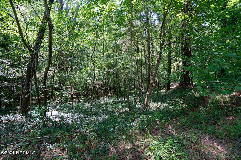 0 Mt Carmel Road Carthage, NC 28327 - Photo 23 of 46 23