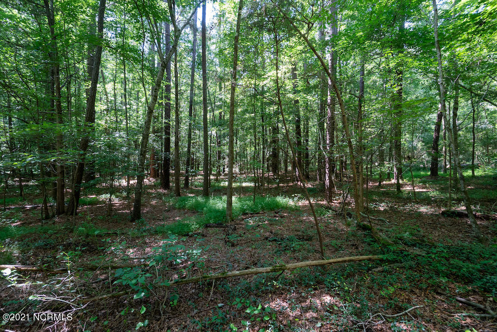 0 Mt Carmel Road Carthage, NC 28327 - Photo 24 of 46 24