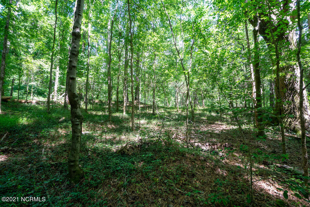 0 Mt Carmel Road Carthage, NC 28327 - Photo 25 of 46 25