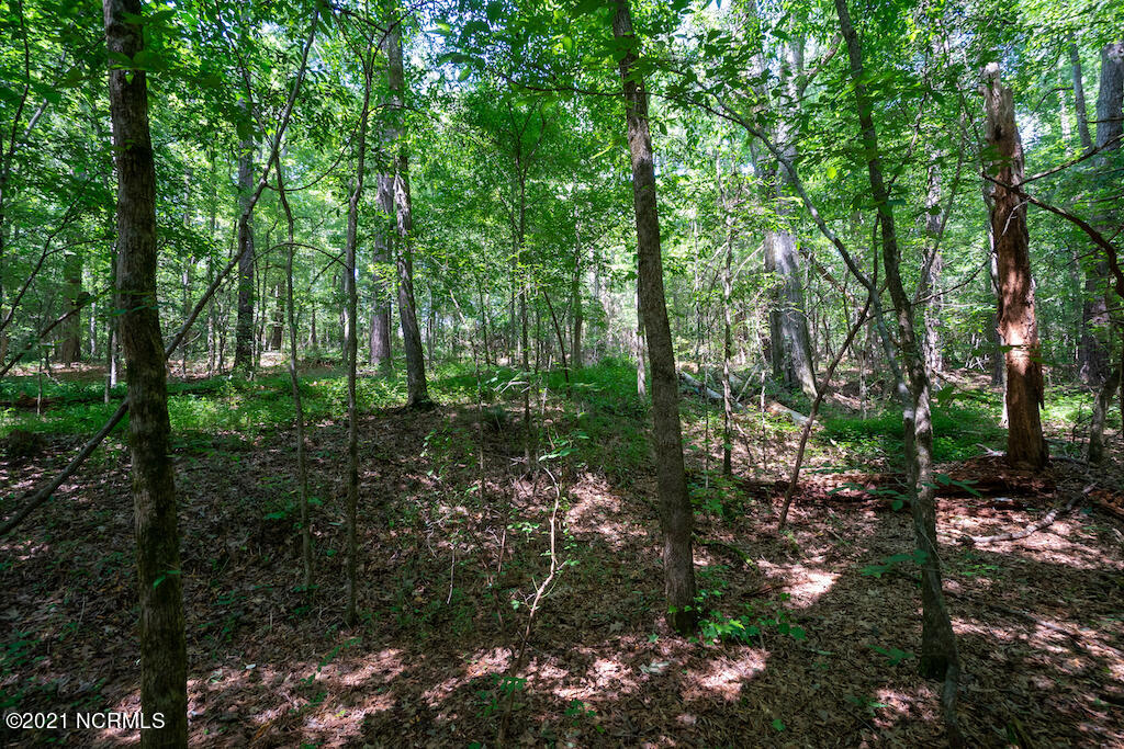 0 Mt Carmel Road Carthage, NC 28327 - Photo 26 of 46 27