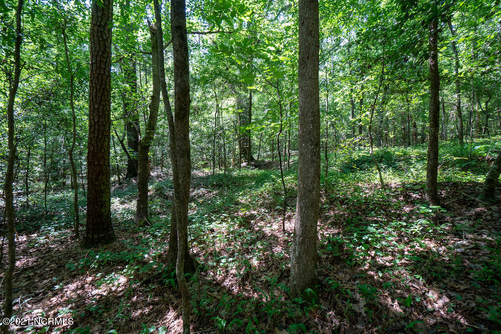 0 Mt Carmel Road Carthage, NC 28327 - Photo 27 of 46 29