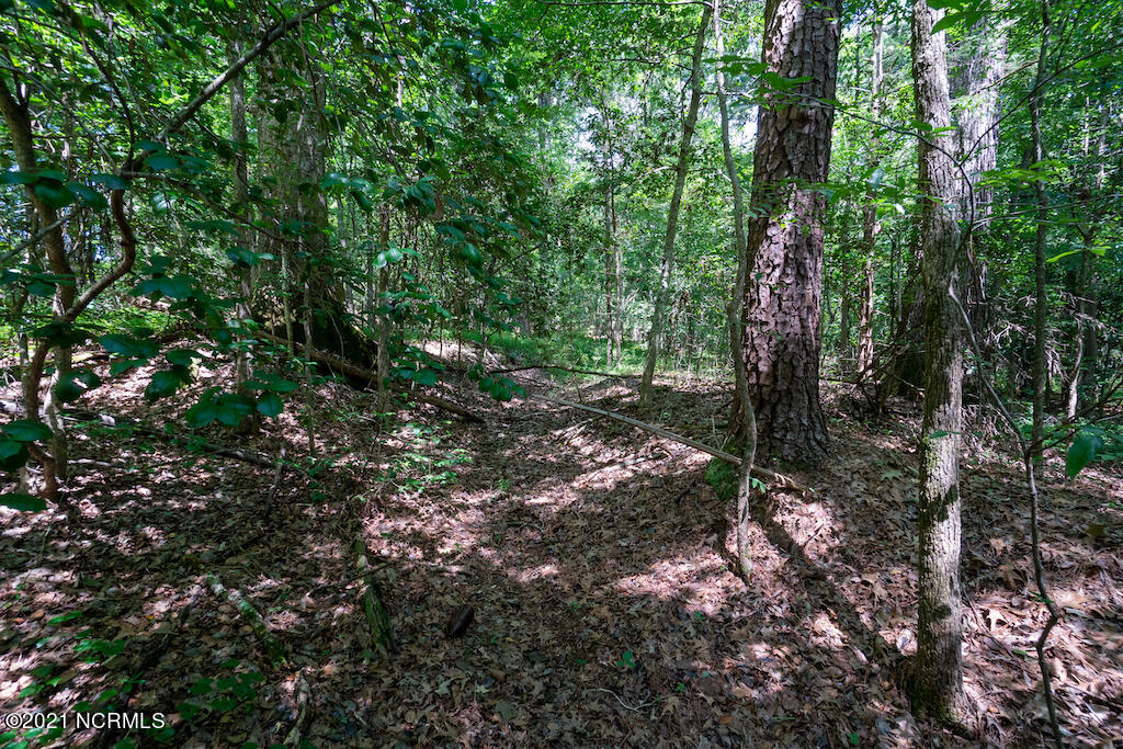 0 Mt Carmel Road Carthage, NC 28327 - Photo 28 of 46 30