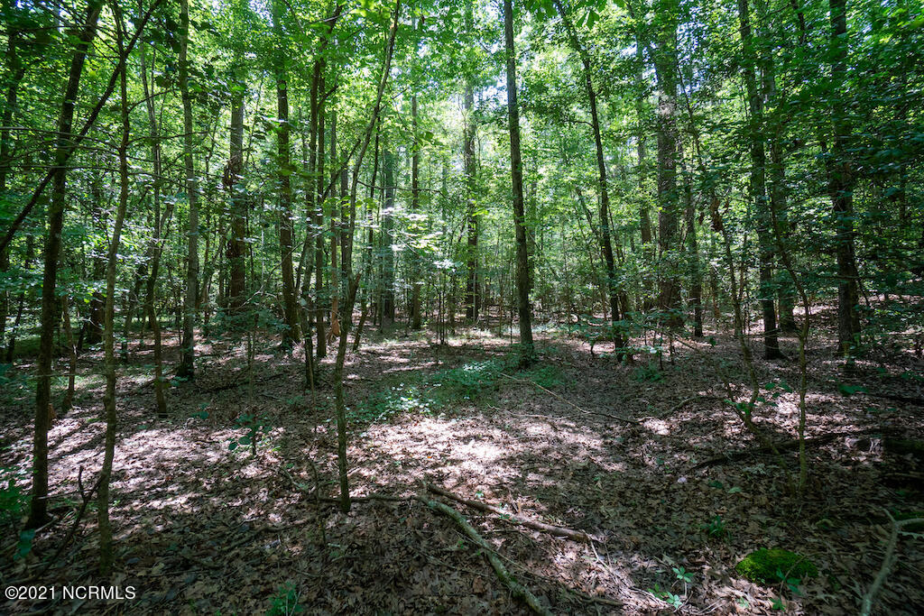 0 Mt Carmel Road Carthage, NC 28327 - Photo 29 of 46 31