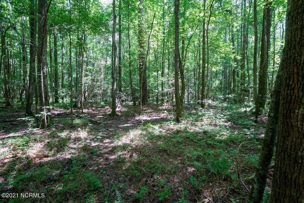 0 Mt Carmel Road Carthage, NC 28327 - Photo 30 of 46 32