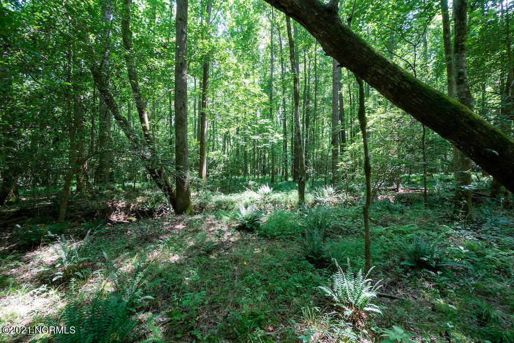 0 Mt Carmel Road Carthage, NC 28327 - Photo 31 of 46 33