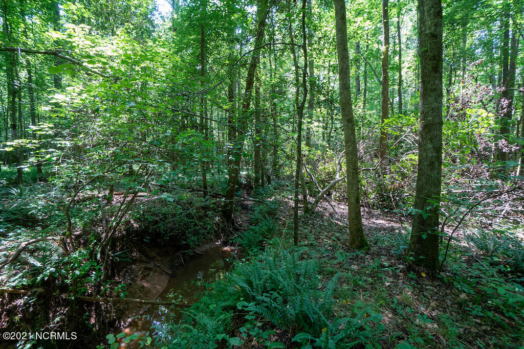0 Mt Carmel Road Carthage, NC 28327 - Photo 32 of 46 34