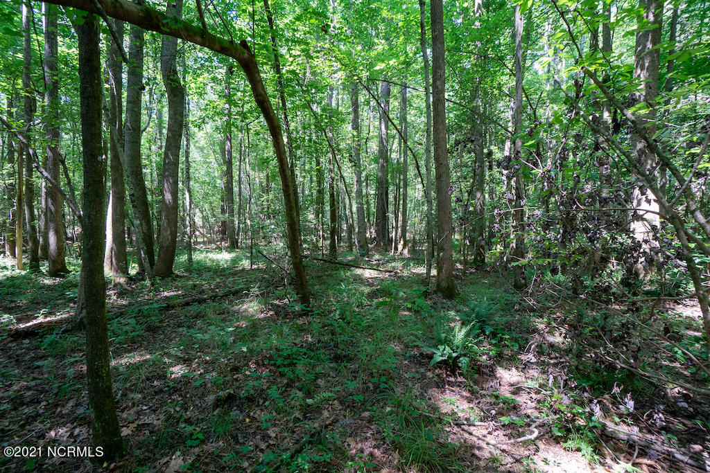 0 Mt Carmel Road Carthage, NC 28327 - Photo 33 of 46 35