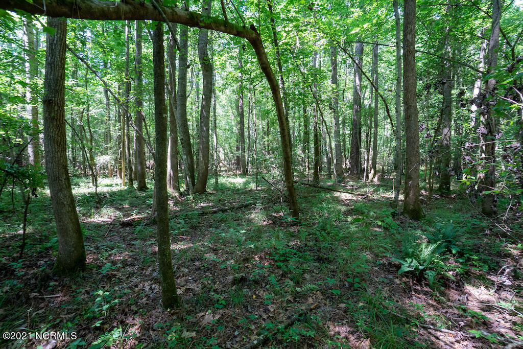 0 Mt Carmel Road Carthage, NC 28327 - Photo 34 of 46 36