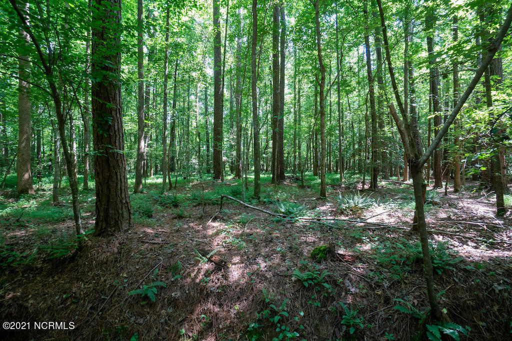 0 Mt Carmel Road Carthage, NC 28327 - Photo 35 of 46 37