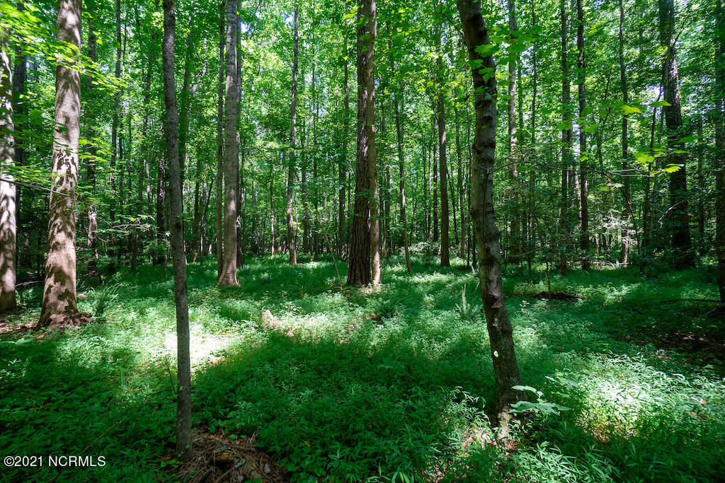 0 Mt Carmel Road Carthage, NC 28327 - Photo 36 of 46 38