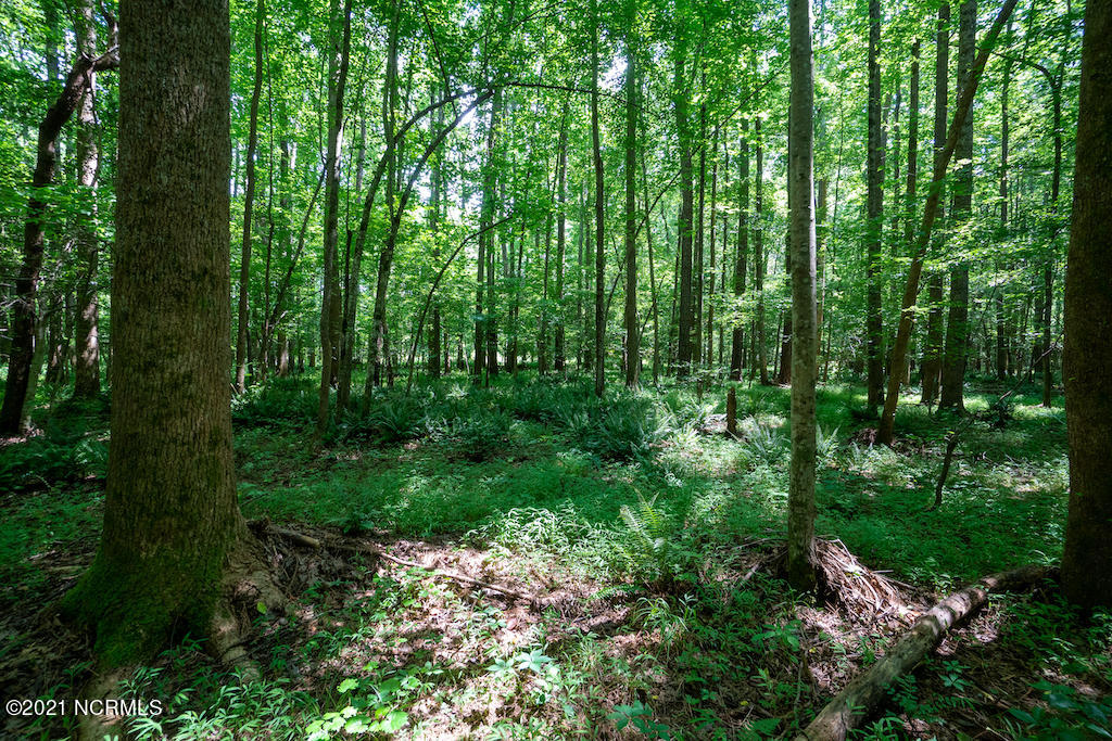 0 Mt Carmel Road Carthage, NC 28327 - Photo 37 of 46 39