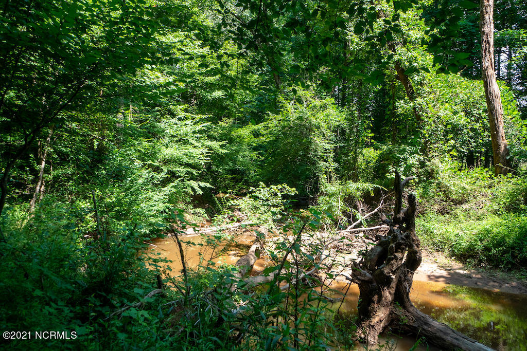 0 Mt Carmel Road Carthage, NC 28327 - Photo 39 of 46 41