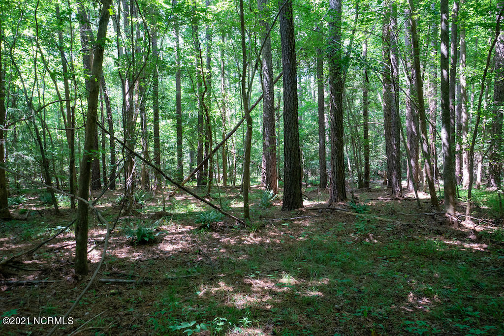 0 Mt Carmel Road Carthage, NC 28327 - Photo 40 of 46 42