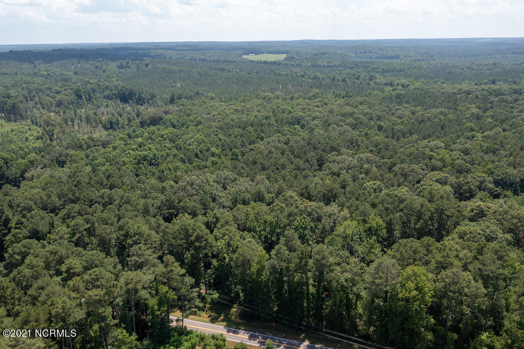 0 Mt Carmel Road Carthage, NC 28327 - Photo 4 of 46 4