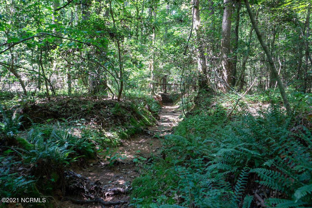 0 Mt Carmel Road Carthage, NC 28327 - Photo 41 of 46 43