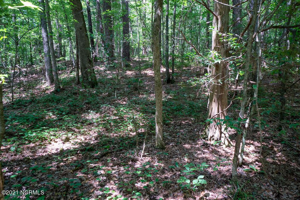0 Mt Carmel Road Carthage, NC 28327 - Photo 43 of 46 45