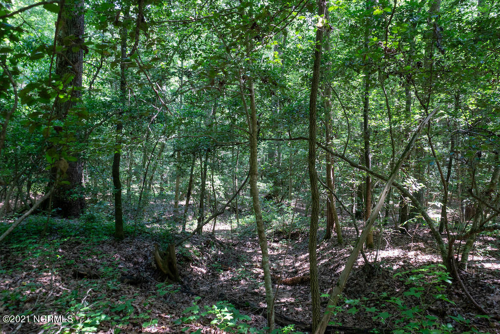 0 Mt Carmel Road Carthage, NC 28327 - Photo 44 of 46 46
