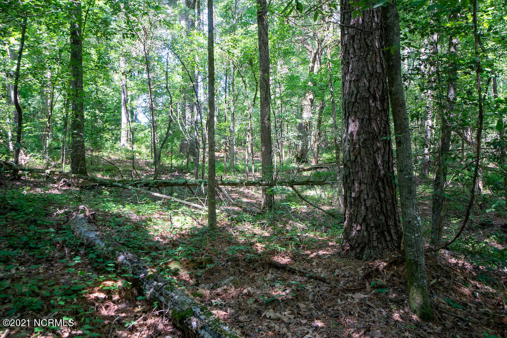 0 Mt Carmel Road Carthage, NC 28327 - Photo 45 of 46 47