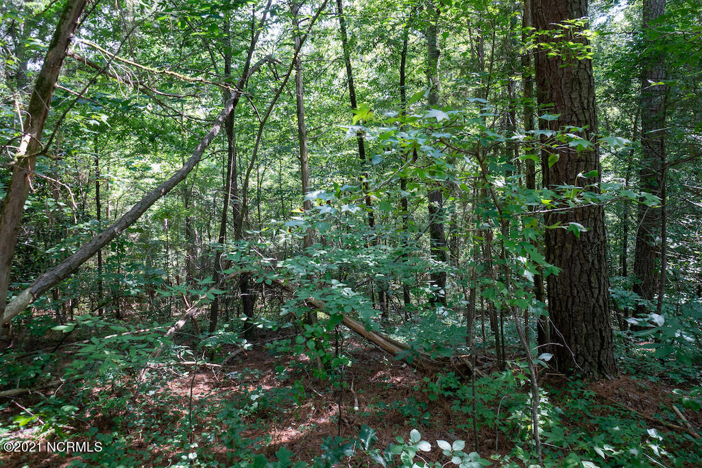 0 Mt Carmel Road Carthage, NC 28327 - Photo 46 of 46 48