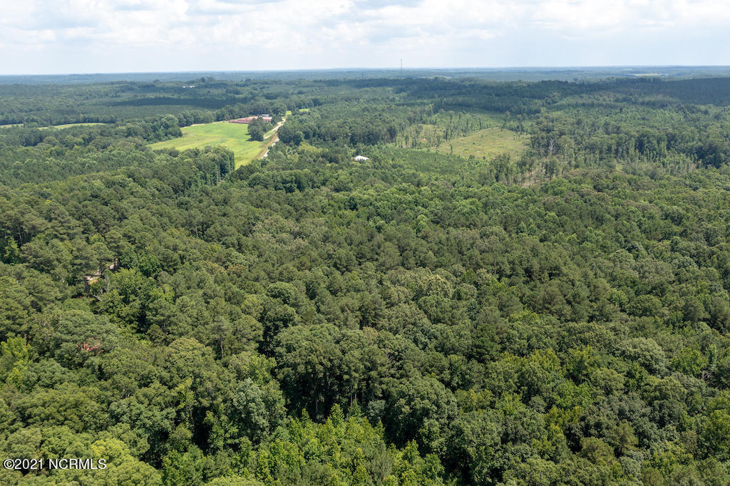 0 Mt Carmel Road Carthage, NC 28327 - Photo 7 of 46 7