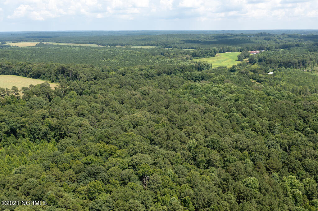 0 Mt Carmel Road Carthage, NC 28327 - Photo 8 of 46 8