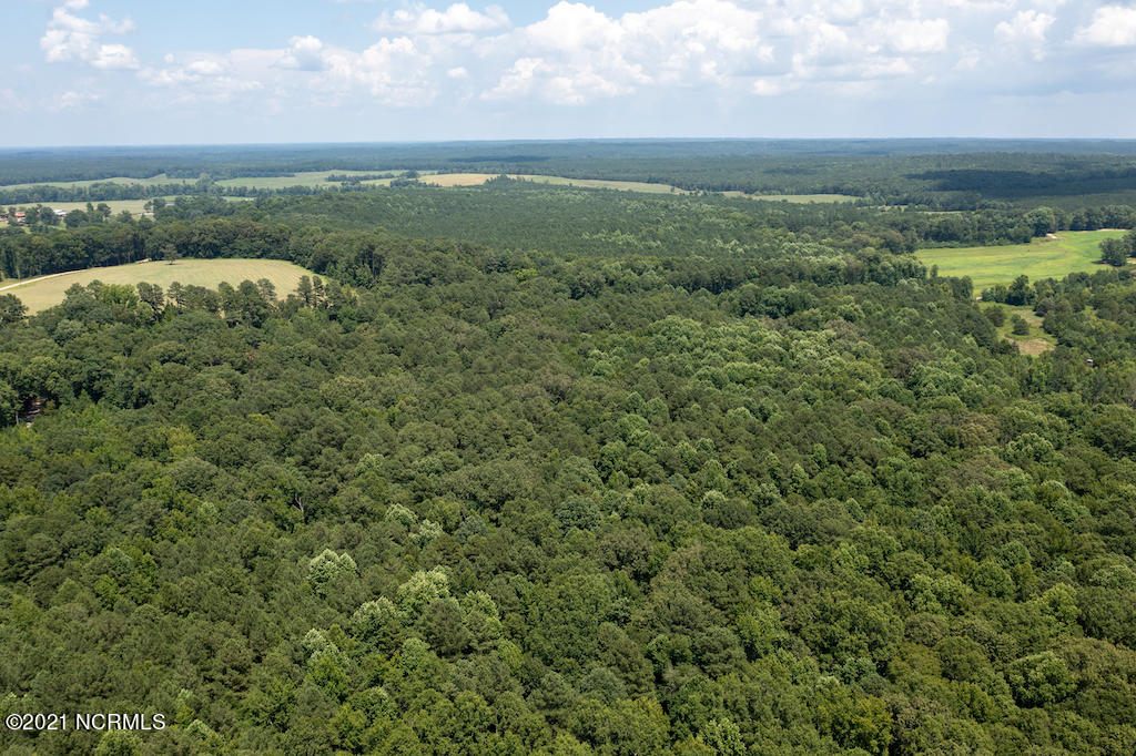 0 Mt Carmel Road Carthage, NC 28327 - Photo 9 of 46 9