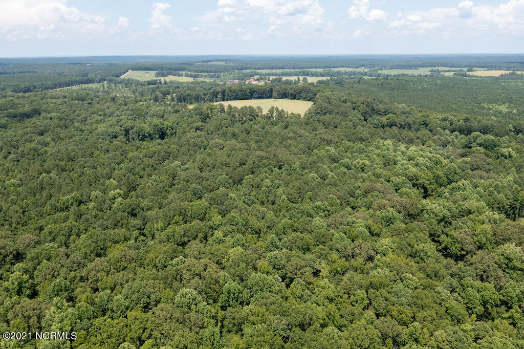 0 Mt Carmel Road Carthage, NC 28327 - Photo 10 of 46 10