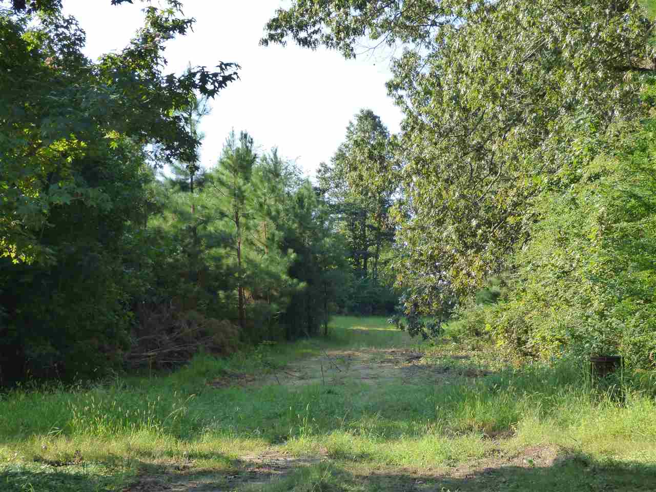 10689 East Holmes Road Collierville, TN 38017 - Photo 2 of 15 Gallery Image 2