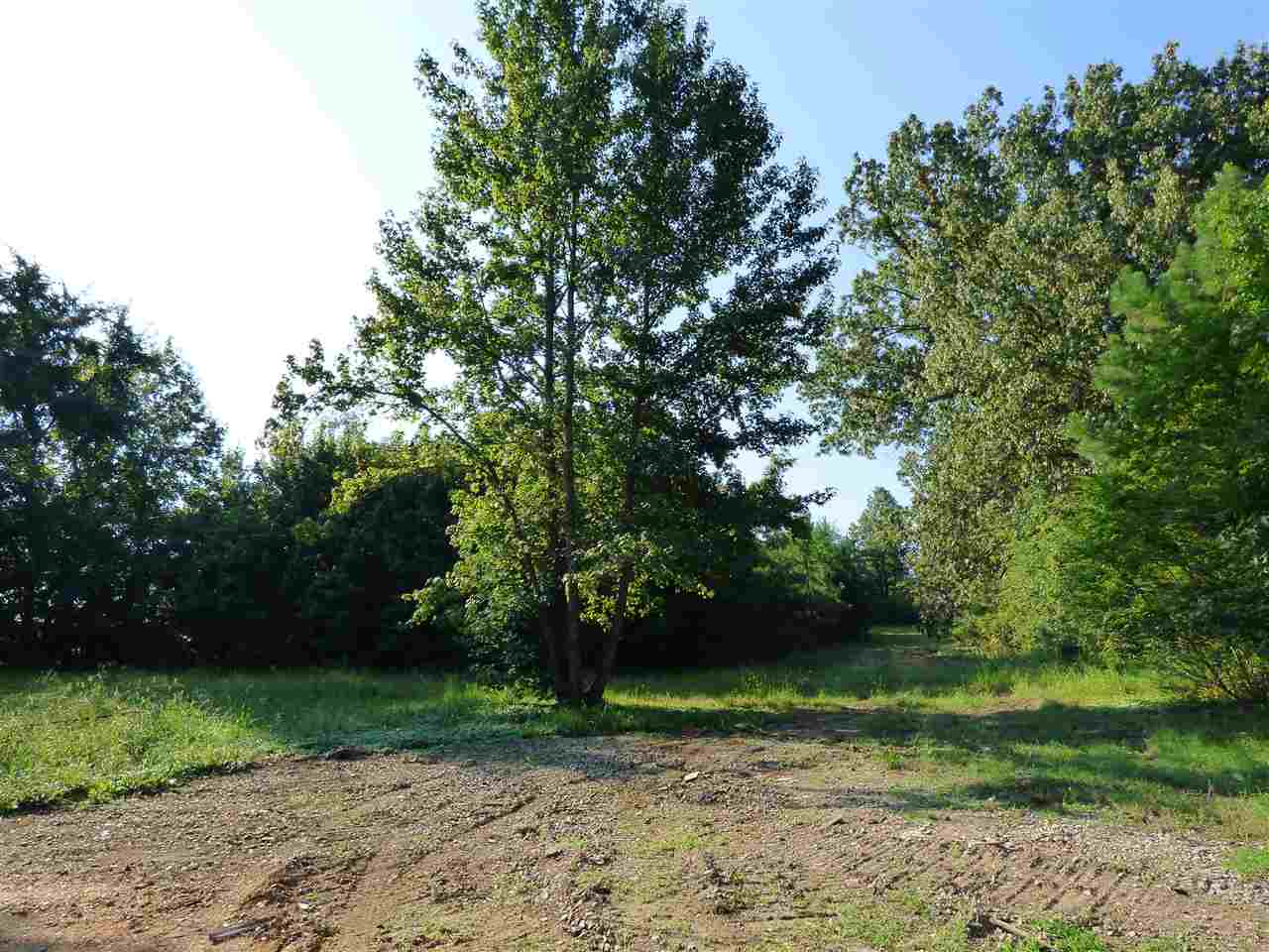10689 East Holmes Road Collierville, TN 38017 - Photo 3 of 15 Gallery Image 3