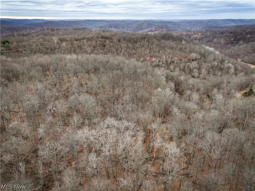 13 Ayers Ridge Lower Salem, OH 45745 - Photo 27 of 32 Drone / aerial view of a forest