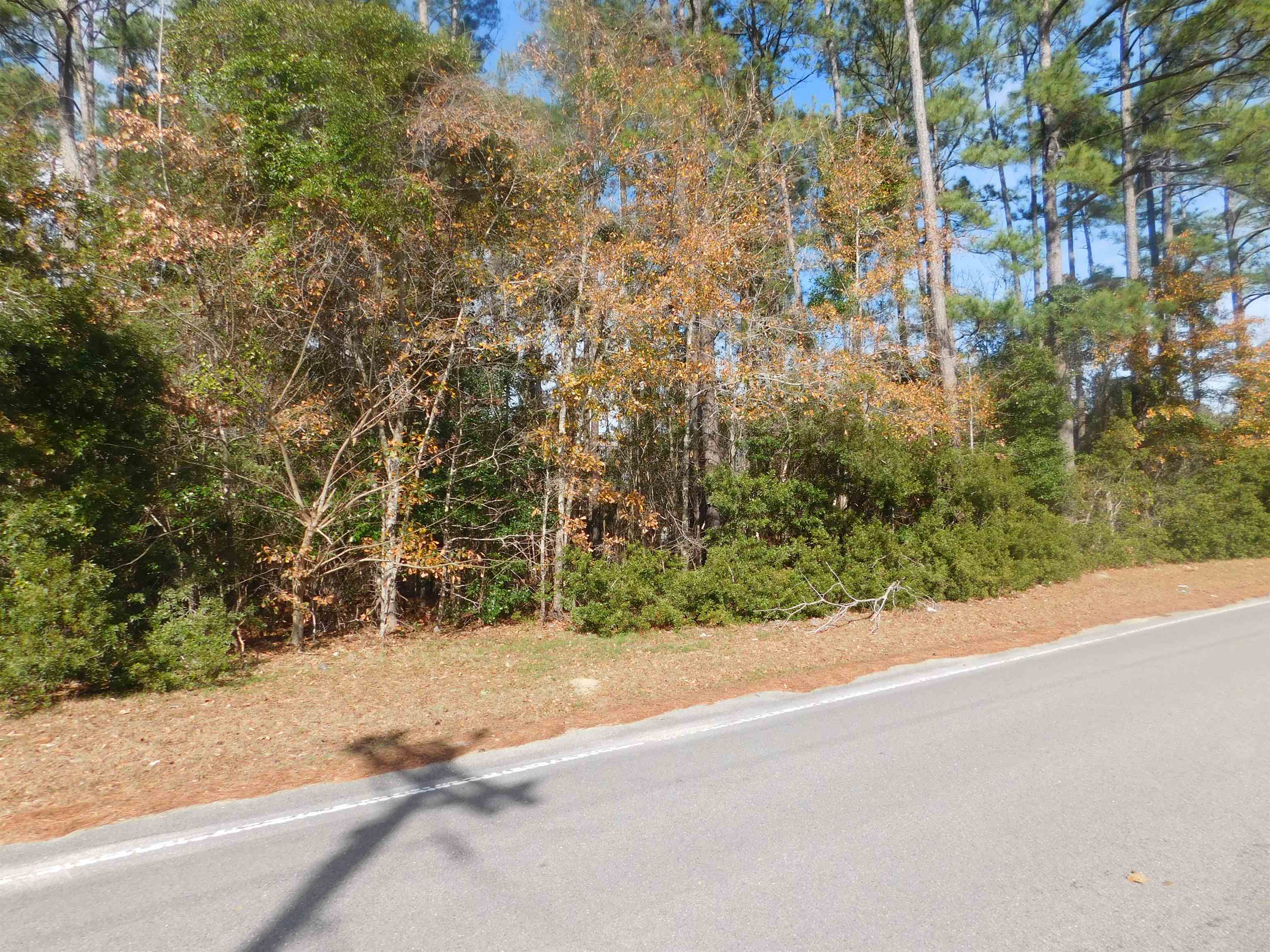 Lot 10 Round Swamp Road Loris, SC 29569 - Photo 3 of 4
