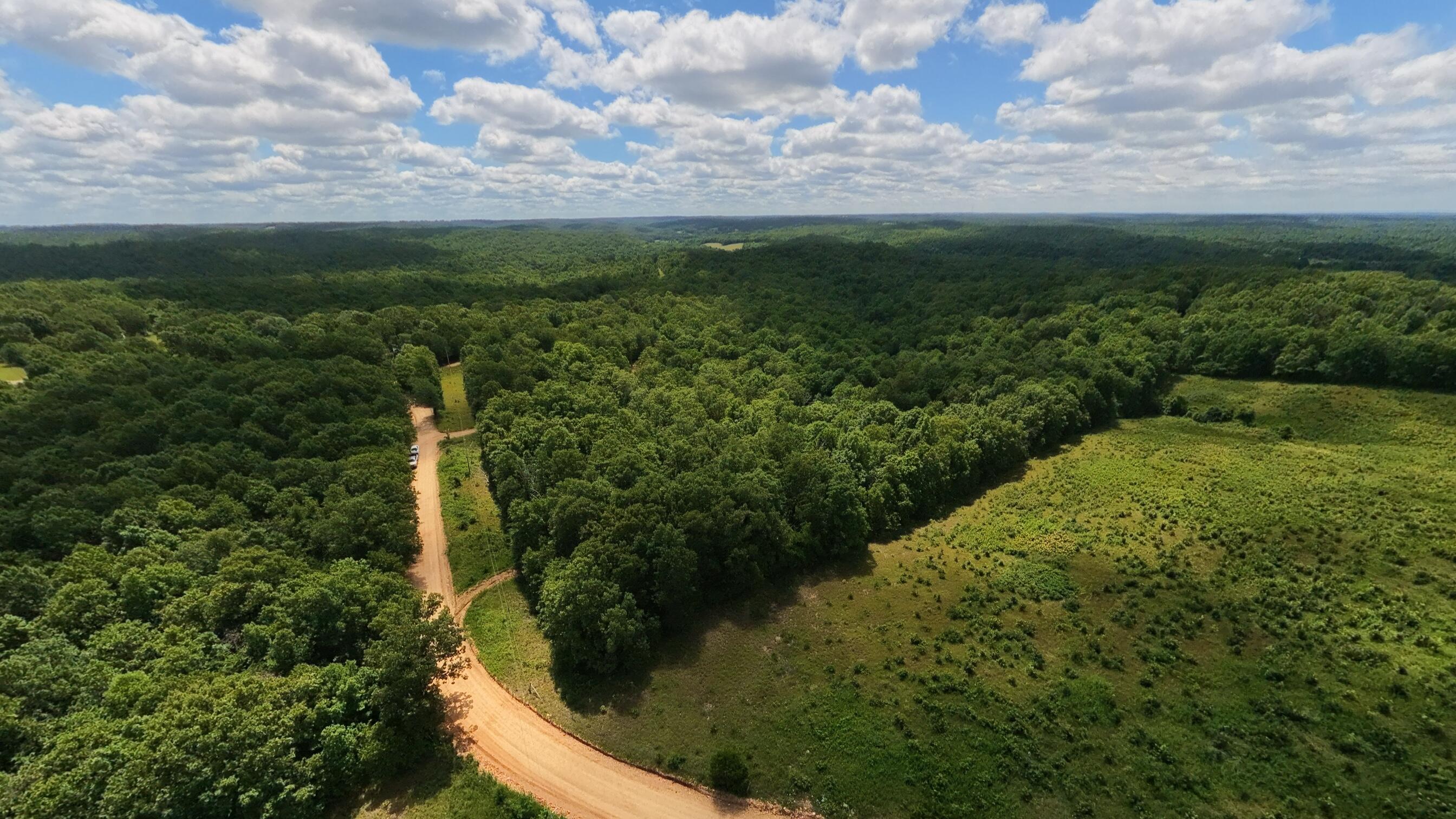 0 Ridgehaven Road Mammoth Spring, AR 72554 - Photo 22 of 23 10 acres013