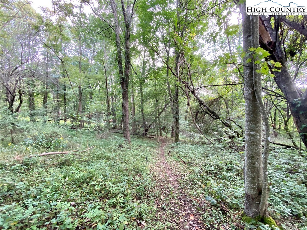 1485 Vanderpool Road Vilas, NC 28692 - Photo 24 of 38 Gallery Image 24