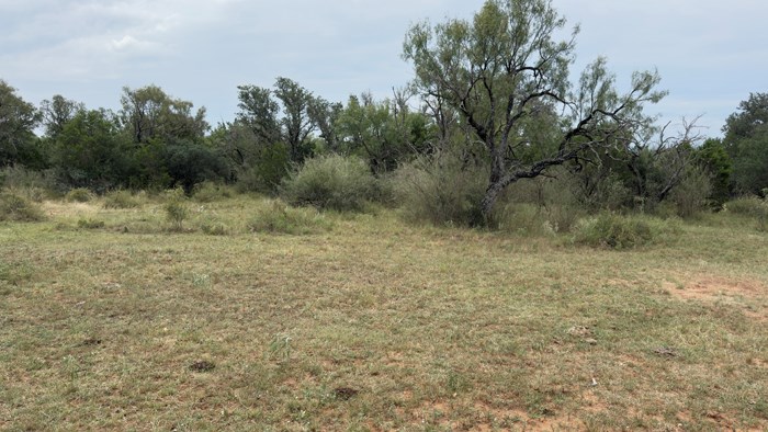 159 Mormon Creek Road Doss, TX 78618 - Photo 23 of 29