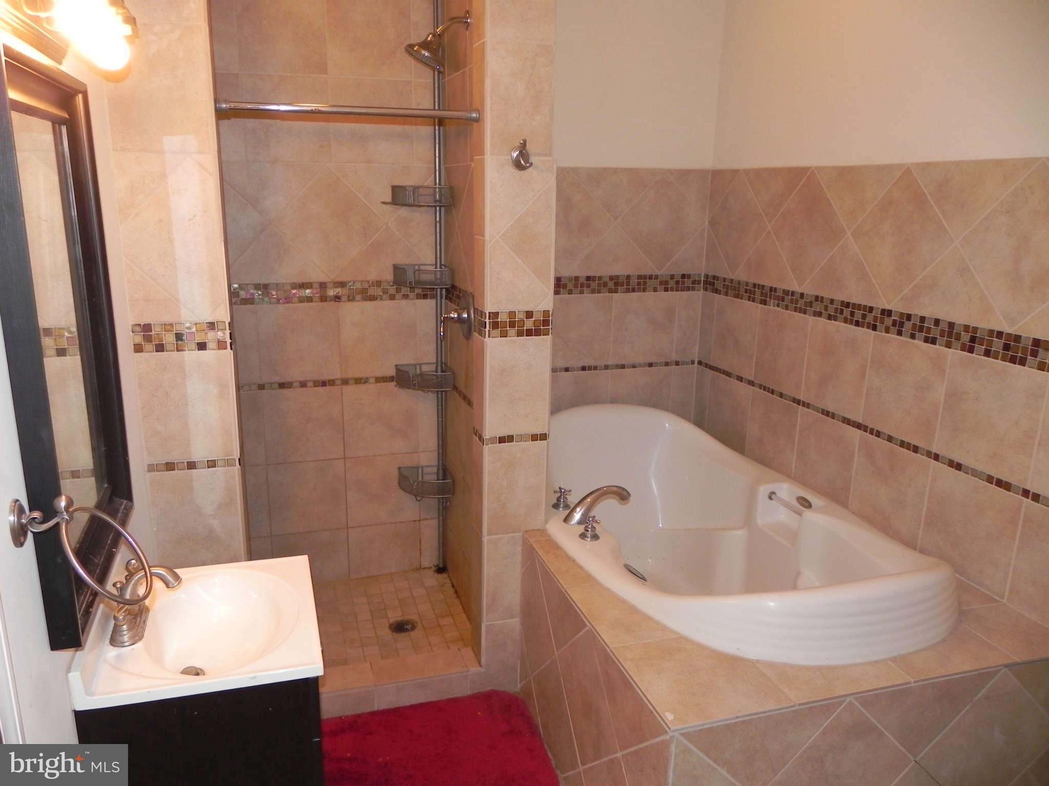 106 West Cross Street Baltimore, MD 21230 - Photo 13 of 29 a bathroom with a bathtub and shower