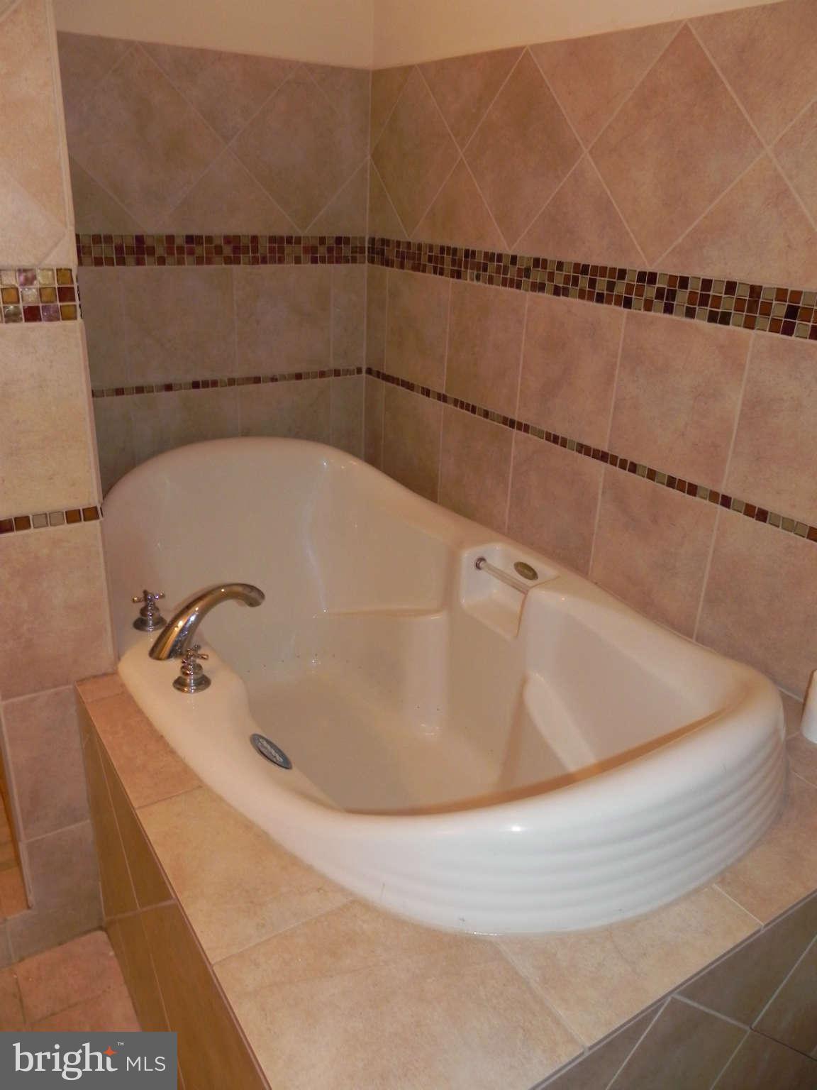 106 West Cross Street Baltimore, MD 21230 - Photo 14 of 29 a bathroom with a bathtub